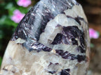 Polished Silver Leaf Lepidolite Standing Display Pieces x 3 From Zimbabwe - Toprock Gemstones and Minerals 