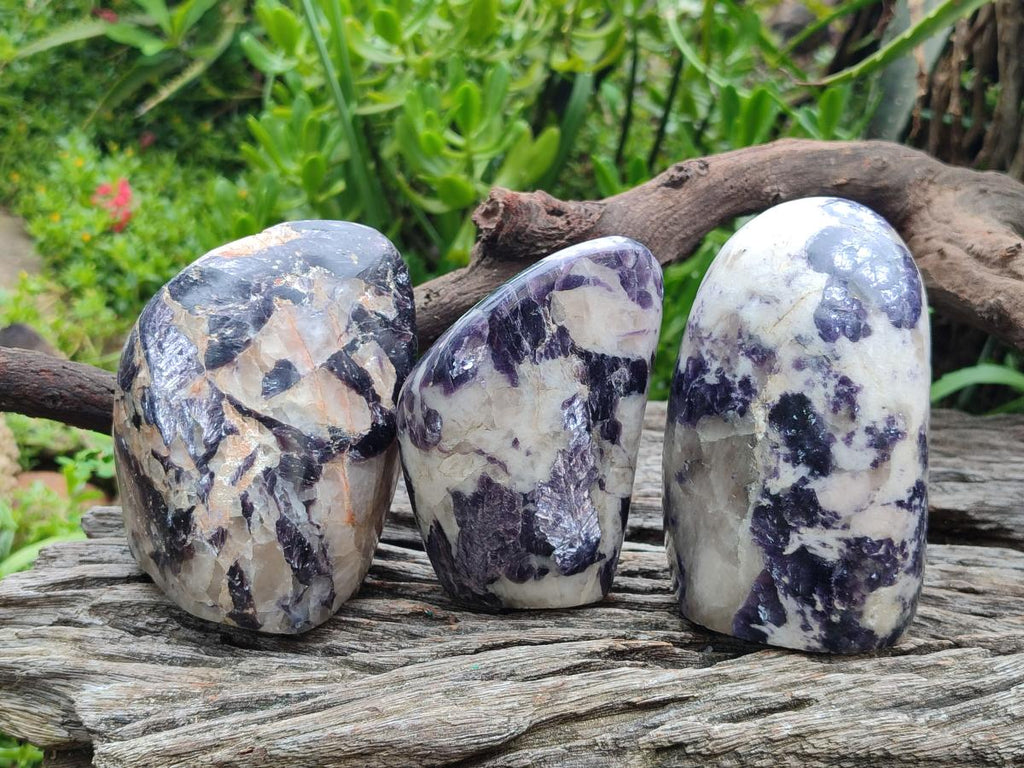 Polished Silver Leaf Lepidolite Standing Display Pieces x 3 From Zimbabwe - Toprock Gemstones and Minerals 