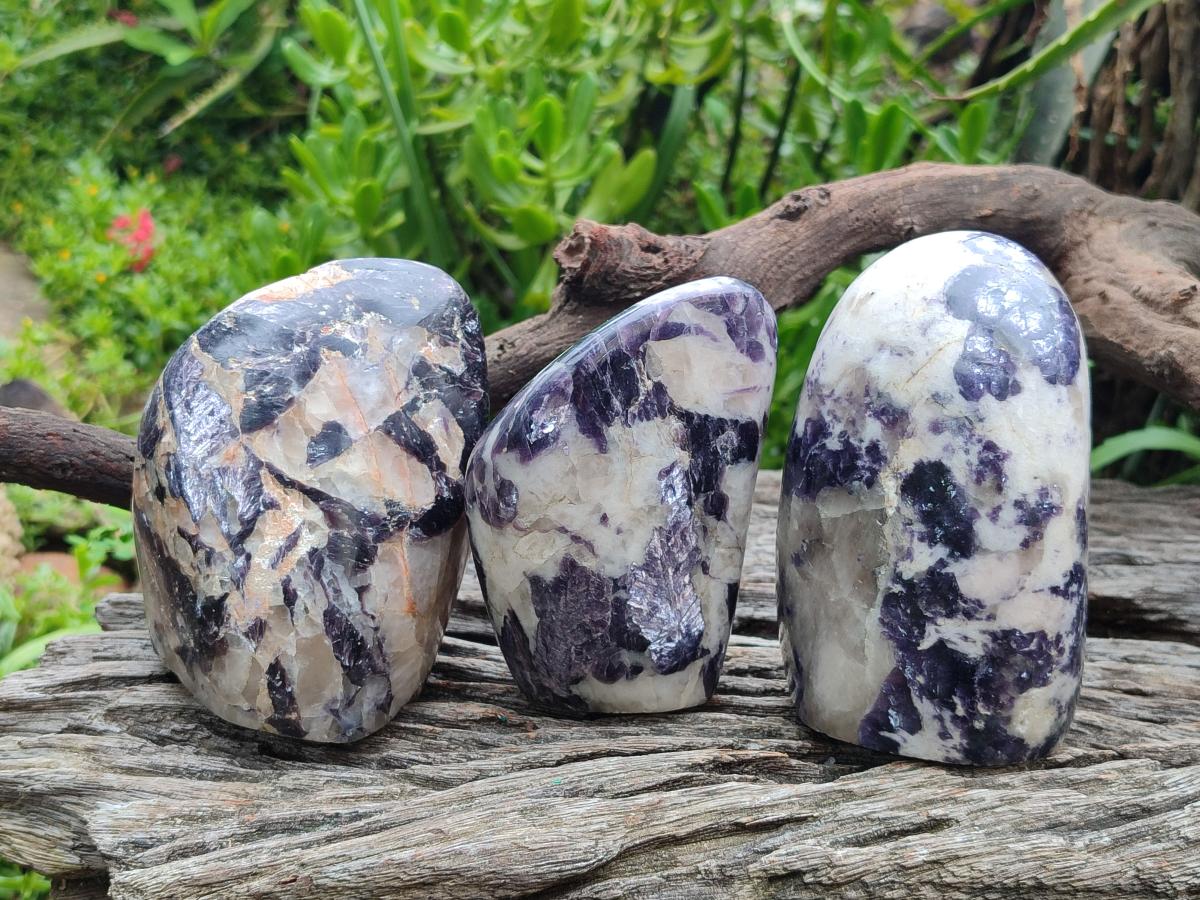 Polished Silver Leaf Lepidolite Standing Display Pieces x 3 From Zimbabwe - Toprock Gemstones and Minerals 