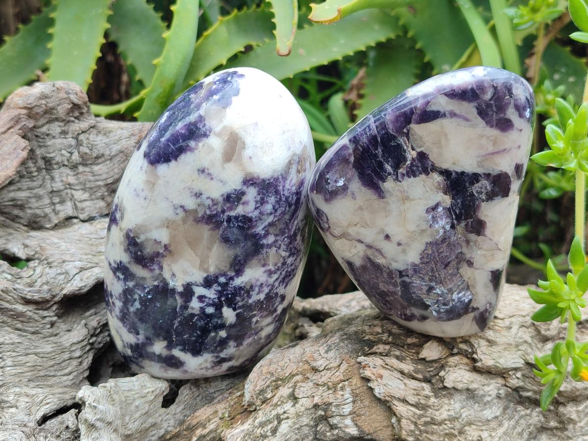 Polished Silver Leaf Lepidolite Standing Display Pieces x 3 From Zimbabwe - Toprock Gemstones and Minerals 