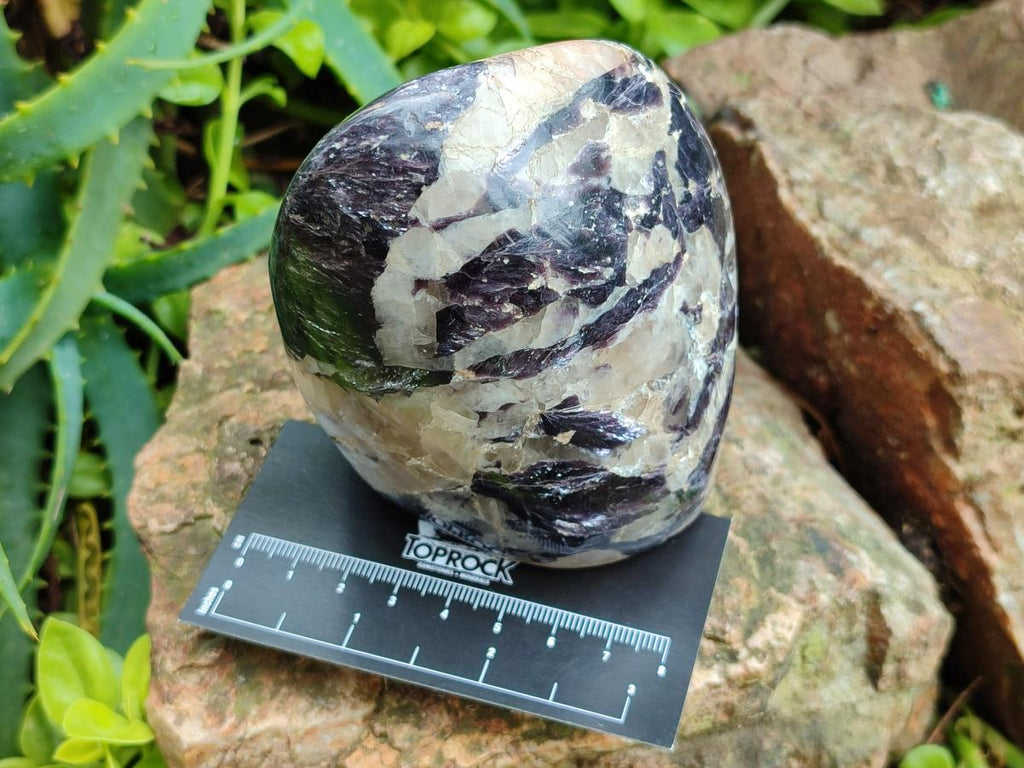 Polished Silver Leaf Lepidolite Standing Display Pieces x 3 From Zimbabwe - Toprock Gemstones and Minerals 