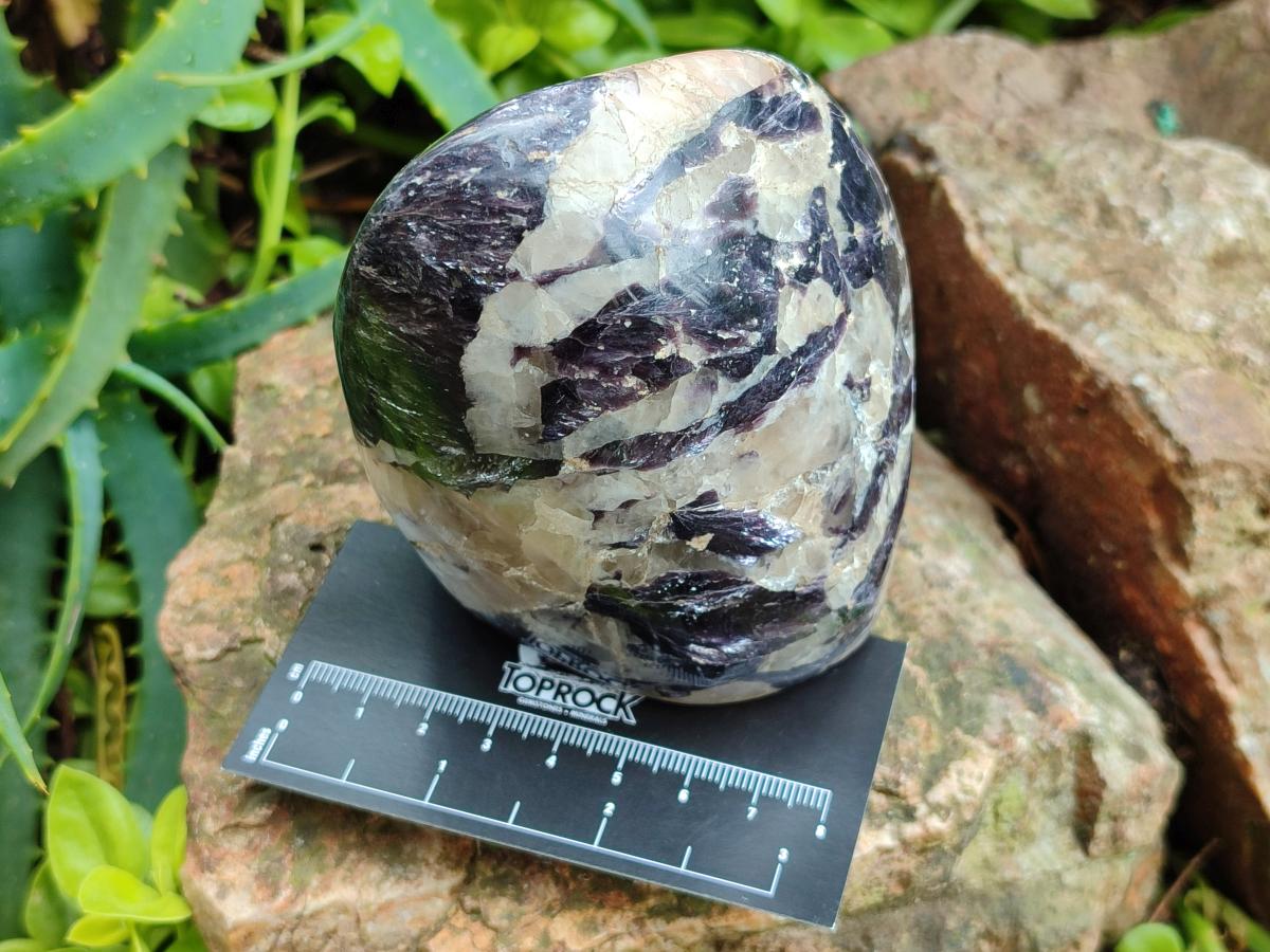 Polished Silver Leaf Lepidolite Standing Display Pieces x 3 From Zimbabwe - Toprock Gemstones and Minerals 