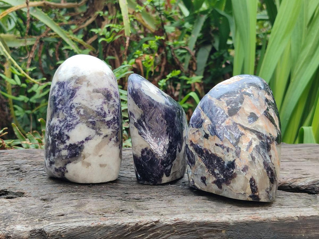 Polished Silver Leaf Lepidolite Standing Display Pieces x 3 From Zimbabwe - Toprock Gemstones and Minerals 