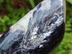 Polished Silver Leaf Lepidolite Standing Display Pieces x 3 From Zimbabwe - Toprock Gemstones and Minerals 