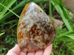 Polished and Natural Golden Nellite Tigers Eye Standing Display Pieces x 2 From Prieska, South Africa - Toprock Gemstones and Minerals 