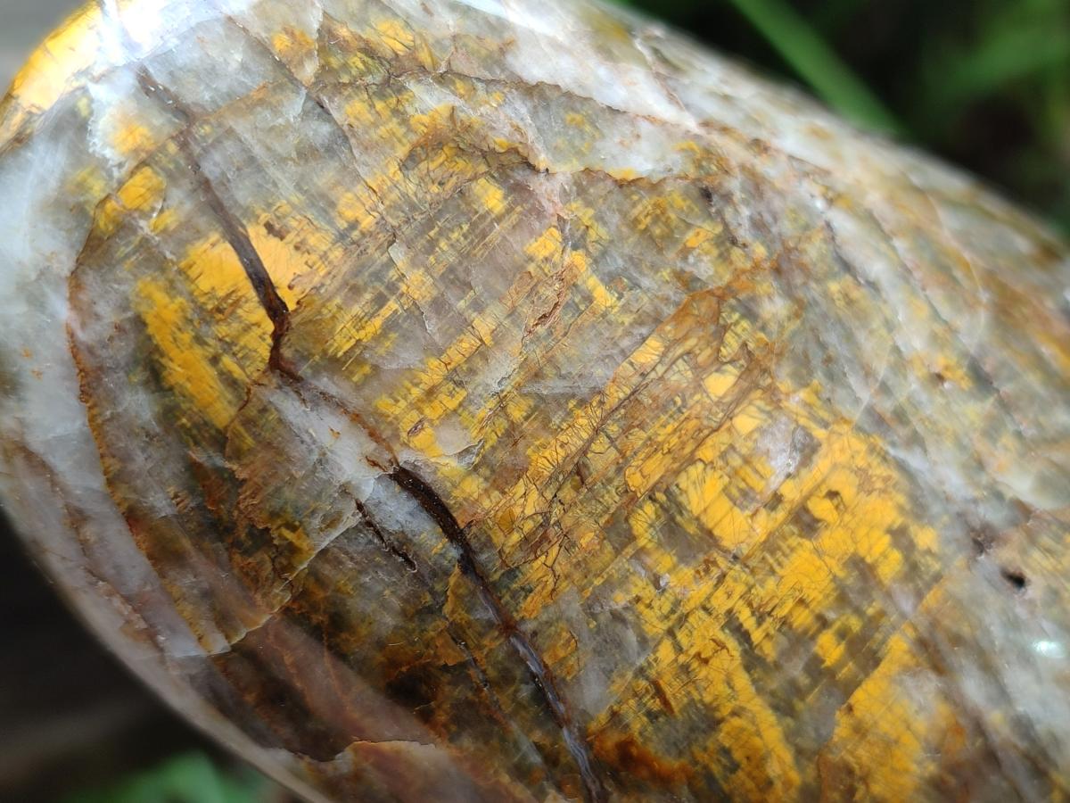 Polished and Natural Golden Nellite Tigers Eye Standing Display Pieces x 2 From Prieska, South Africa - Toprock Gemstones and Minerals 