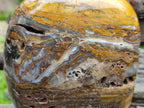 Polished and Natural Golden Nellite Tigers Eye Standing Display Pieces x 2 From Prieska, South Africa - Toprock Gemstones and Minerals 