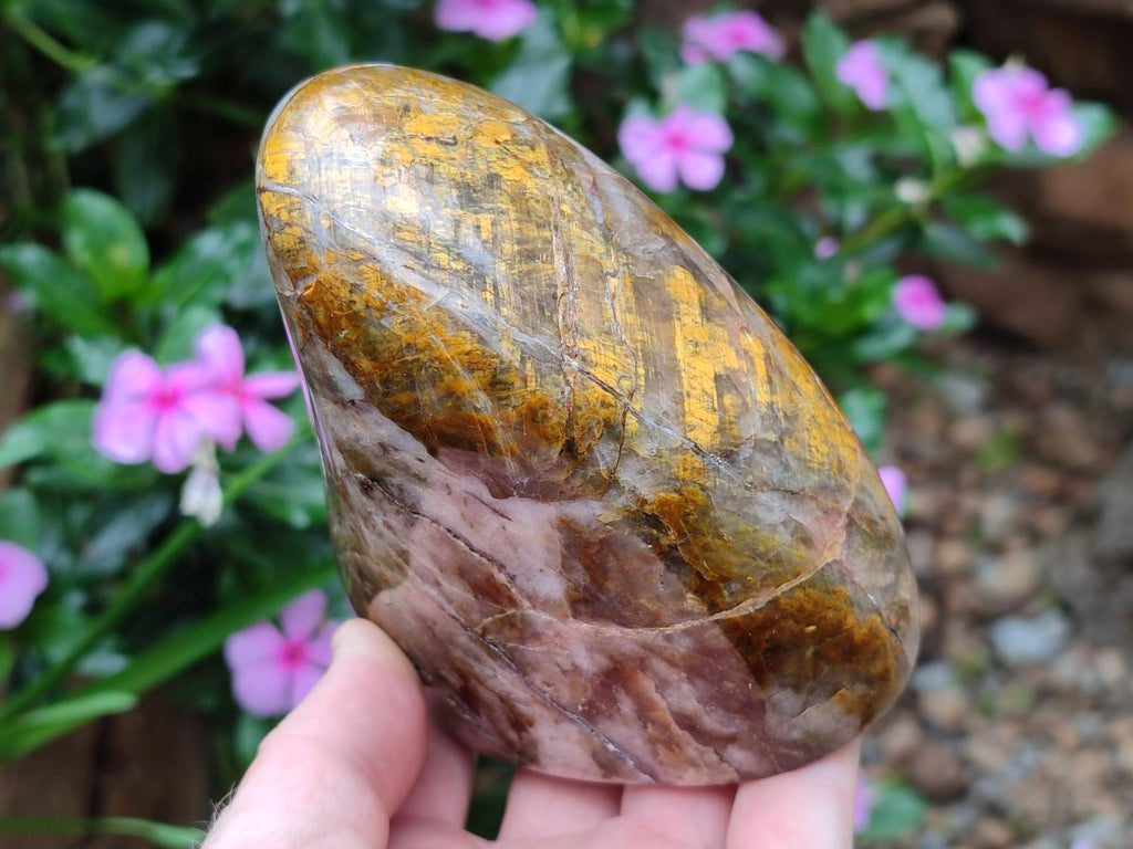 Polished and Natural Golden Nellite Tigers Eye Standing Display Pieces x 2 From Prieska, South Africa - Toprock Gemstones and Minerals 