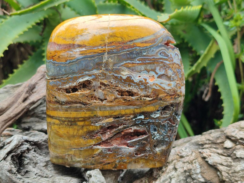 Polished and Natural Golden Nellite Tigers Eye Standing Display Pieces x 2 From Prieska, South Africa - Toprock Gemstones and Minerals 