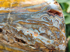 Polished and Natural Golden Nellite Tigers Eye Standing Display Pieces x 2 From Prieska, South Africa - Toprock Gemstones and Minerals 