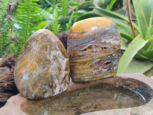 Polished and Natural Golden Nellite Tigers Eye Standing Display Pieces x 2 From Prieska, South Africa - Toprock Gemstones and Minerals 