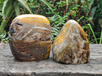 Polished and Natural Golden Nellite Tigers Eye Standing Display Pieces x 2 From Prieska, South Africa - Toprock Gemstones and Minerals 