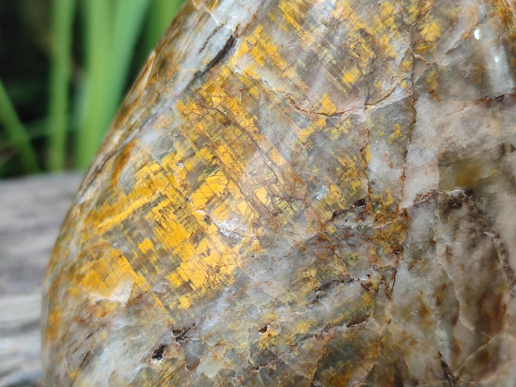Polished and Natural Golden Nellite Tigers Eye Standing Display Pieces x 2 From Prieska, South Africa - Toprock Gemstones and Minerals 