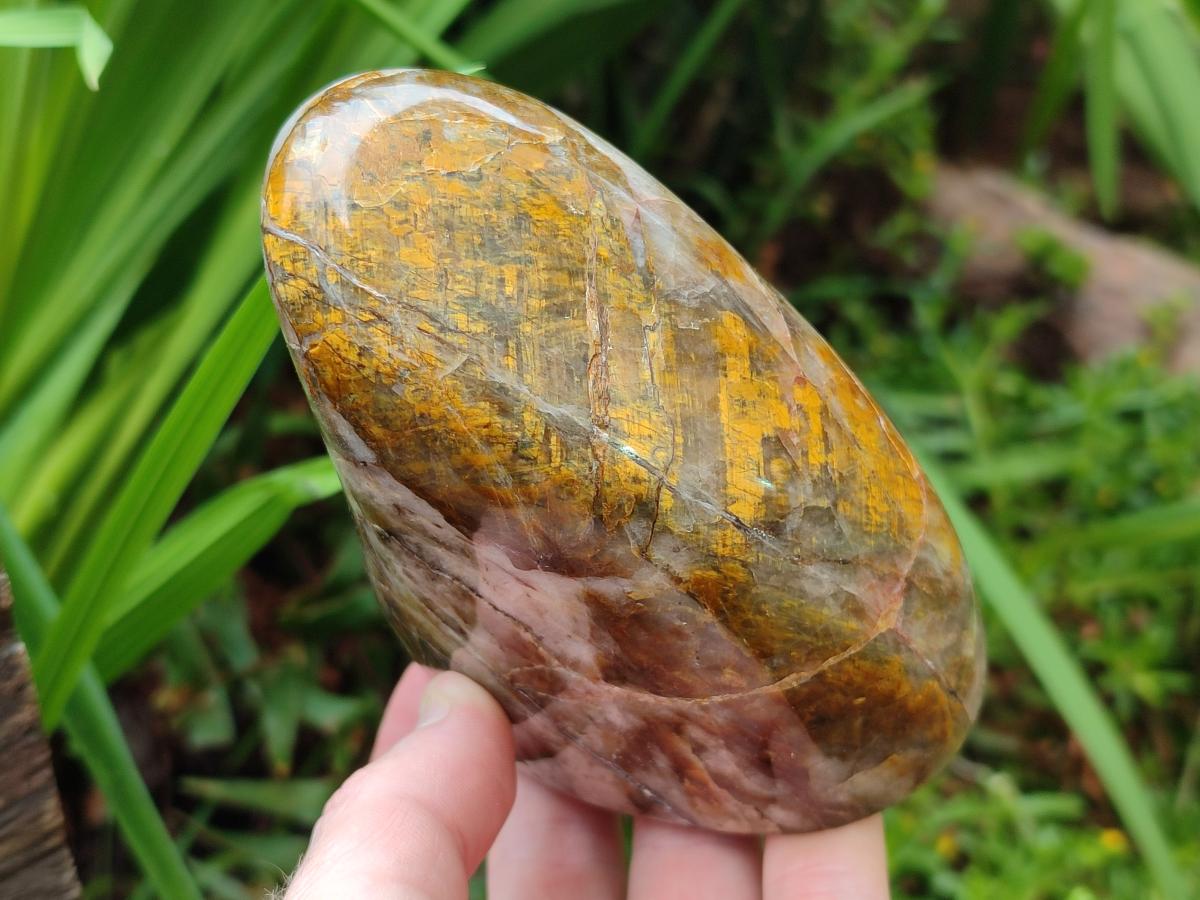 Polished and Natural Golden Nellite Tigers Eye Standing Display Pieces x 2 From Prieska, South Africa - Toprock Gemstones and Minerals 
