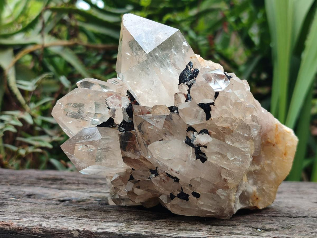 Natural Clear Luena Quartz Clusters x 2 From Luena, Congo - Toprock Gemstones and Minerals 