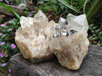 Natural Clear Luena Quartz Clusters x 2 From Luena, Congo - Toprock Gemstones and Minerals 