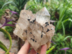 Natural Clear Luena Quartz Clusters x 2 From Luena, Congo - Toprock Gemstones and Minerals 