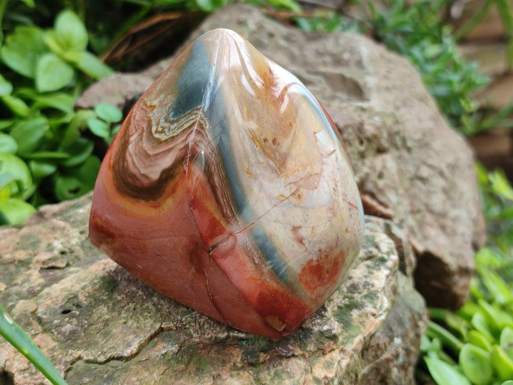 Polished Polychrome Jasper Flames x 6 From Androka, Madagascar - Toprock Gemstones and Minerals 