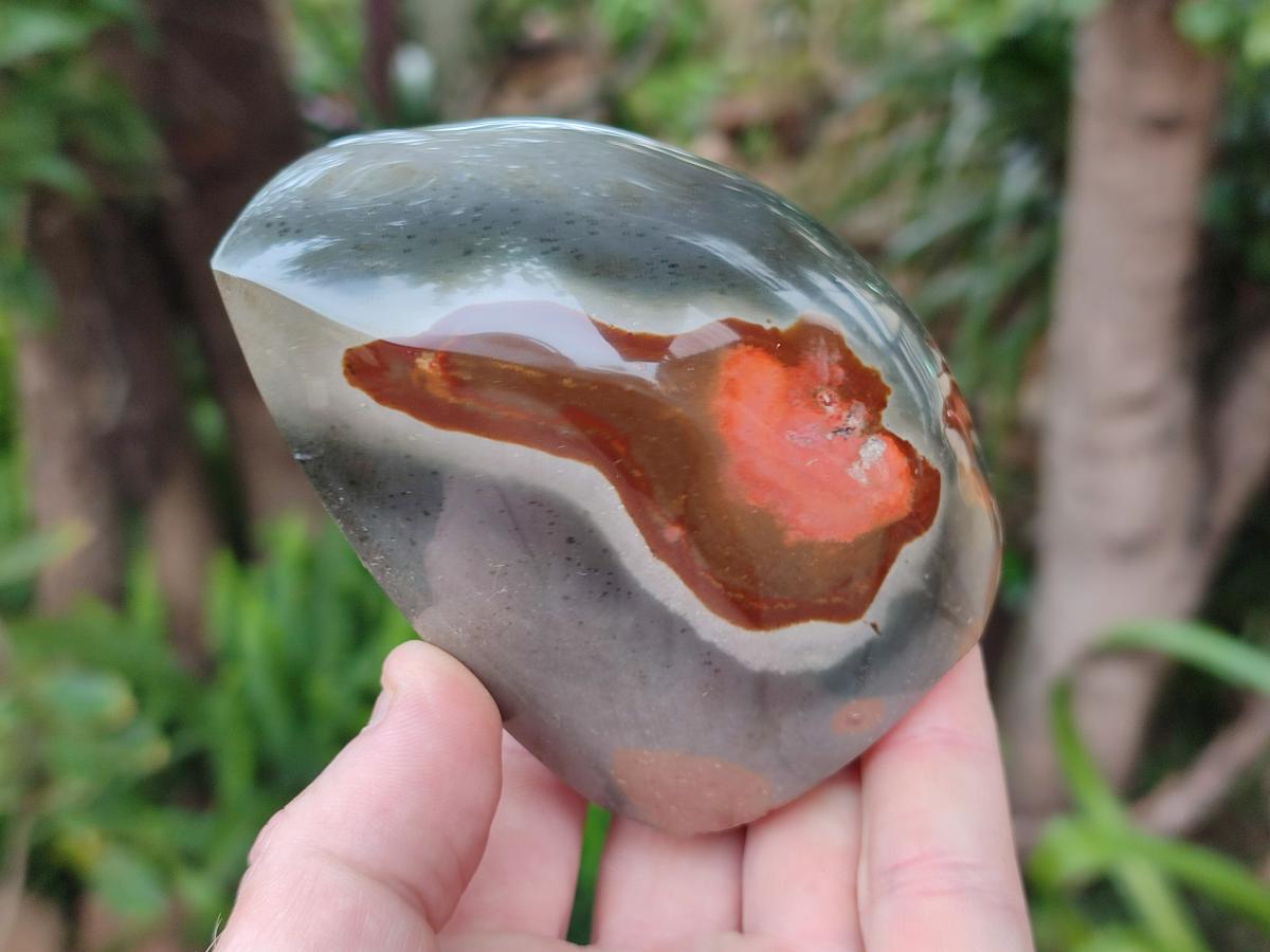 Polished Polychrome Jasper Flames x 6 From Androka, Madagascar - Toprock Gemstones and Minerals 