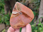 Polished Polychrome Jasper Flames x 6 From Androka, Madagascar - Toprock Gemstones and Minerals 