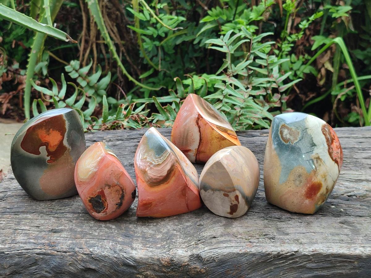 Polished Polychrome Jasper Flames x 6 From Androka, Madagascar - Toprock Gemstones and Minerals 