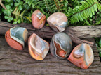 Polished Polychrome Jasper Flames x 6 From Androka, Madagascar - Toprock Gemstones and Minerals 