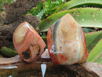 Polished Polychrome Jasper Flames x 6 From Androka, Madagascar - Toprock Gemstones and Minerals 