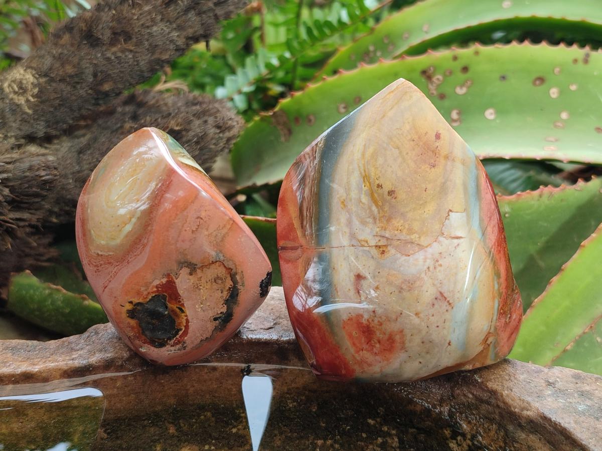 Polished Polychrome Jasper Flames x 6 From Androka, Madagascar - Toprock Gemstones and Minerals 