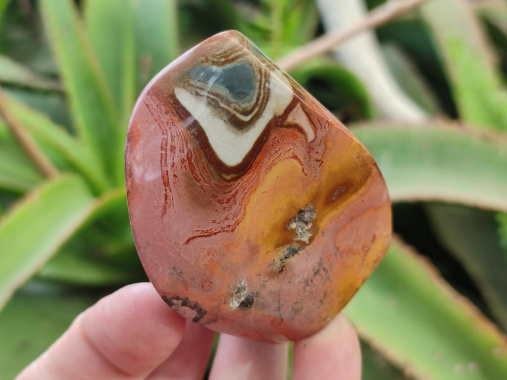 Polished Polychrome Jasper Flames x 6 From Androka, Madagascar - Toprock Gemstones and Minerals 