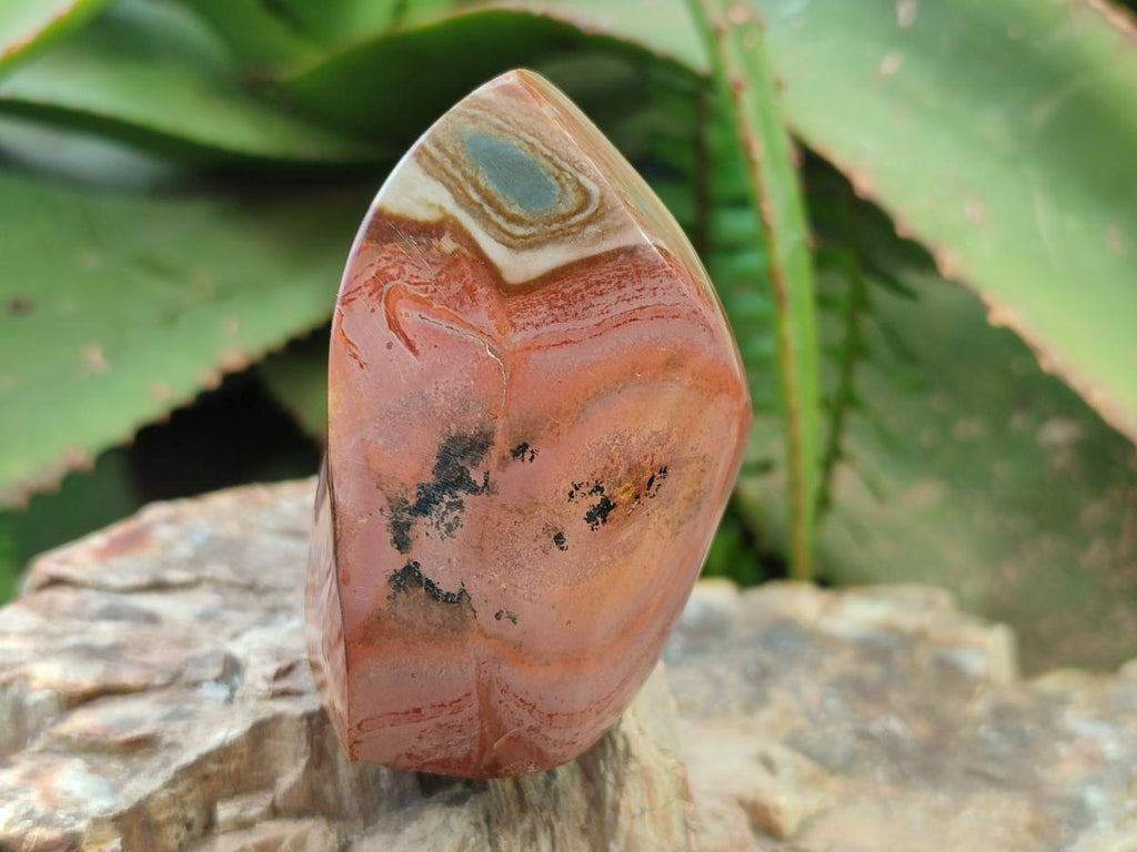 Polished Polychrome Jasper Flames x 6 From Androka, Madagascar - Toprock Gemstones and Minerals 