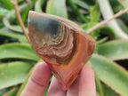 Polished Polychrome Jasper Flames x 6 From Androka, Madagascar - Toprock Gemstones and Minerals 