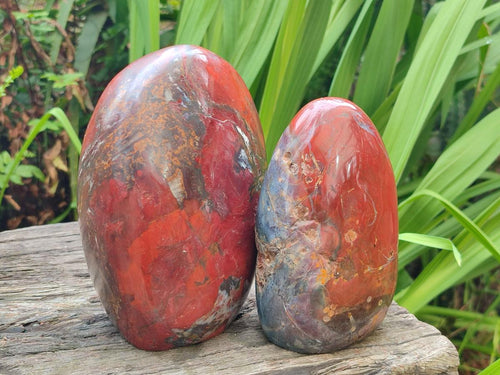 Polished and Natural Red Jasper Standing Display Pieces x 3 From Madagascar - Toprock Gemstones and Minerals 