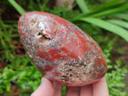 Polished and Natural Red Jasper Standing Display Pieces x 3 From Madagascar - Toprock Gemstones and Minerals 