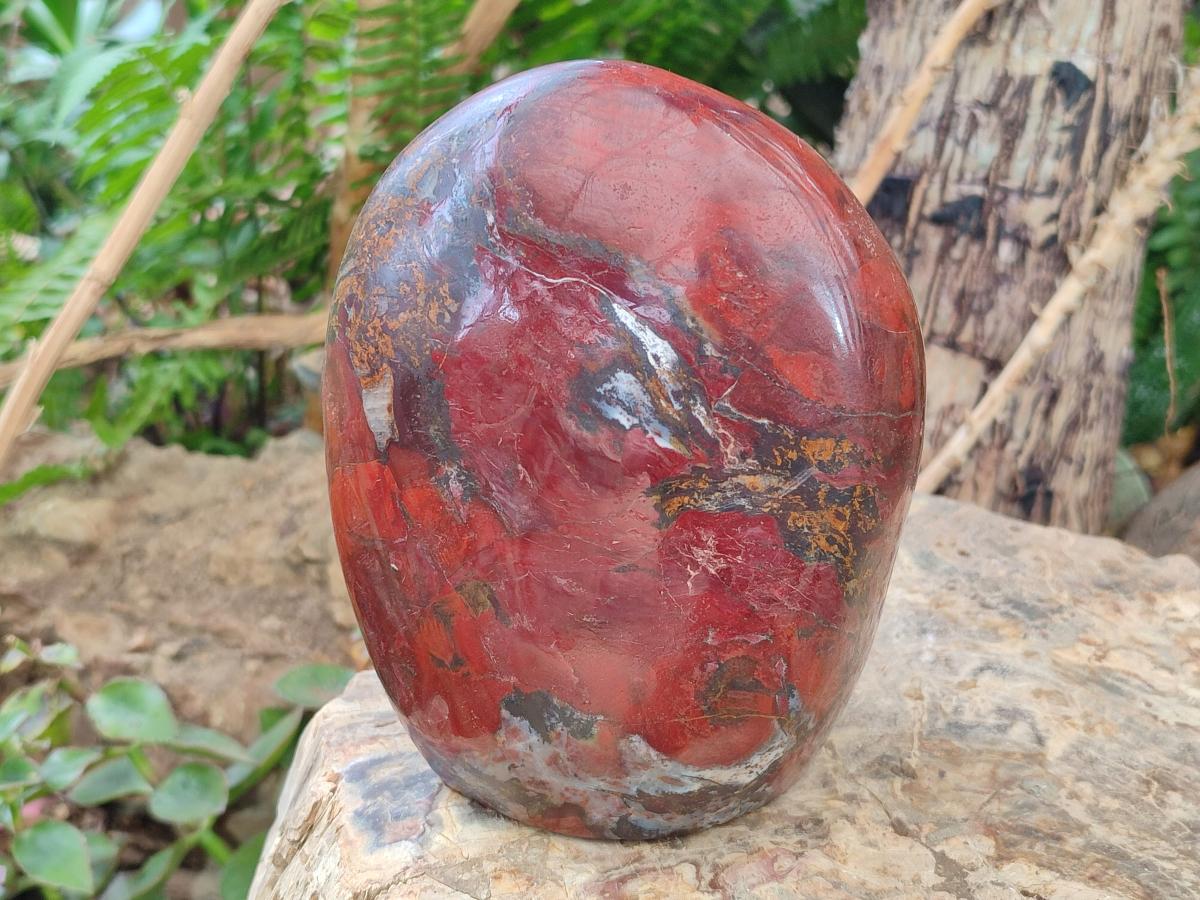 Polished and Natural Red Jasper Standing Display Pieces x 3 From Madagascar - Toprock Gemstones and Minerals 