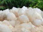 Natural XXL Cascading "Anananas" Candle Quartz Cluster x 1 From Antsirabe, Madagascar - Toprock Gemstones and Minerals 