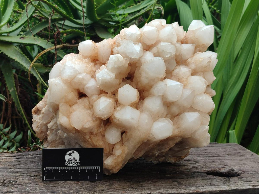 Natural XXL Cascading "Anananas" Candle Quartz Cluster x 1 From Antsirabe, Madagascar - Toprock Gemstones and Minerals 