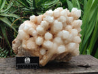 Natural XXL Cascading "Anananas" Candle Quartz Cluster x 1 From Antsirabe, Madagascar - Toprock Gemstones and Minerals 