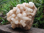 Natural XXL Cascading "Anananas" Candle Quartz Cluster x 1 From Antsirabe, Madagascar - Toprock Gemstones and Minerals 
