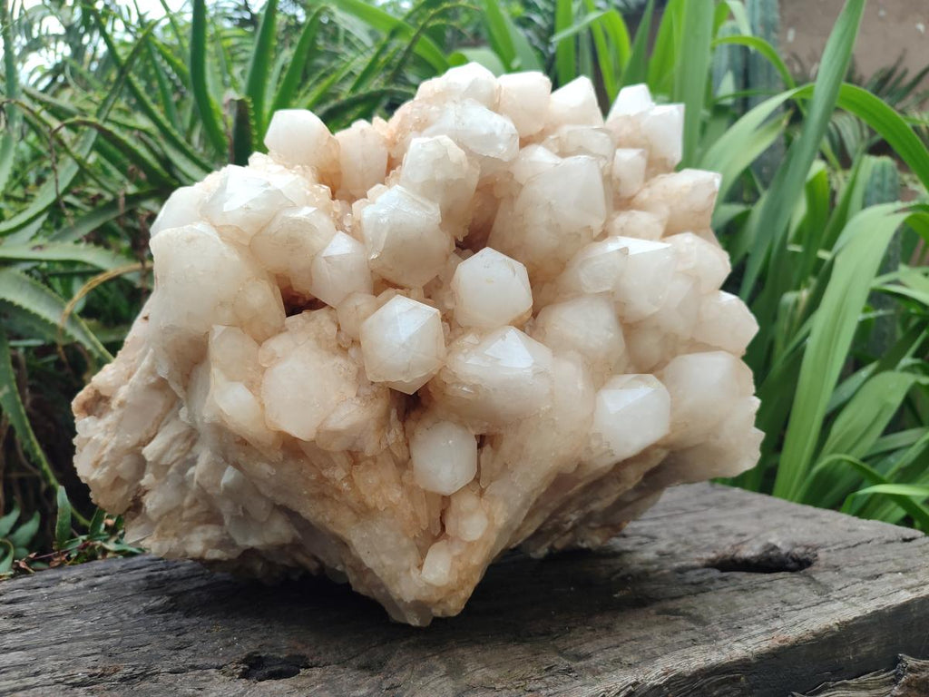 Natural XXL Cascading "Anananas" Candle Quartz Cluster x 1 From Antsirabe, Madagascar - Toprock Gemstones and Minerals 
