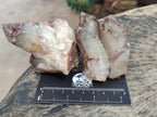 Natural Red Hematoid Quartz Crystals x 24 From Karoi, Zimbabwe - Toprock Gemstones and Minerals 