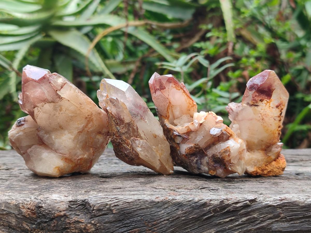 Natural Red Hematoid Quartz Crystals x 24 From Karoi, Zimbabwe - Toprock Gemstones and Minerals 