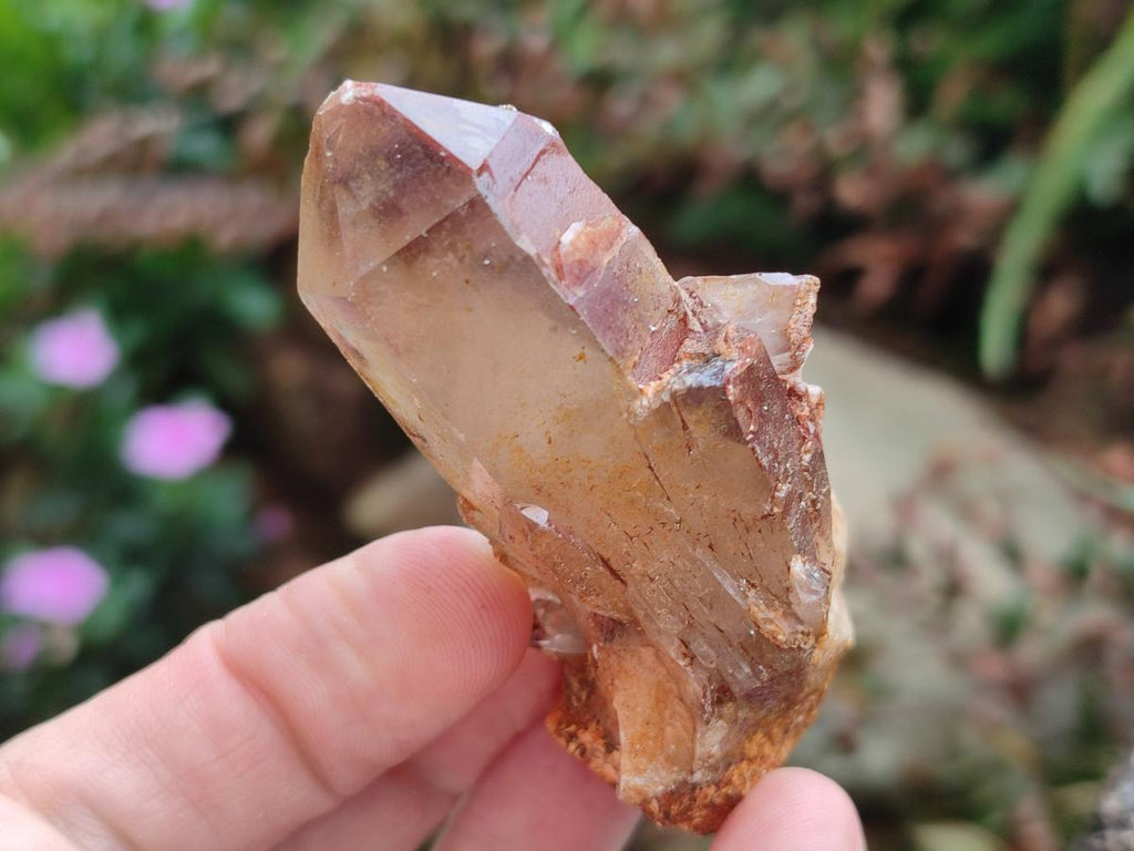 Natural Red Hematoid Quartz Crystals x 24 From Karoi, Zimbabwe - Toprock Gemstones and Minerals 