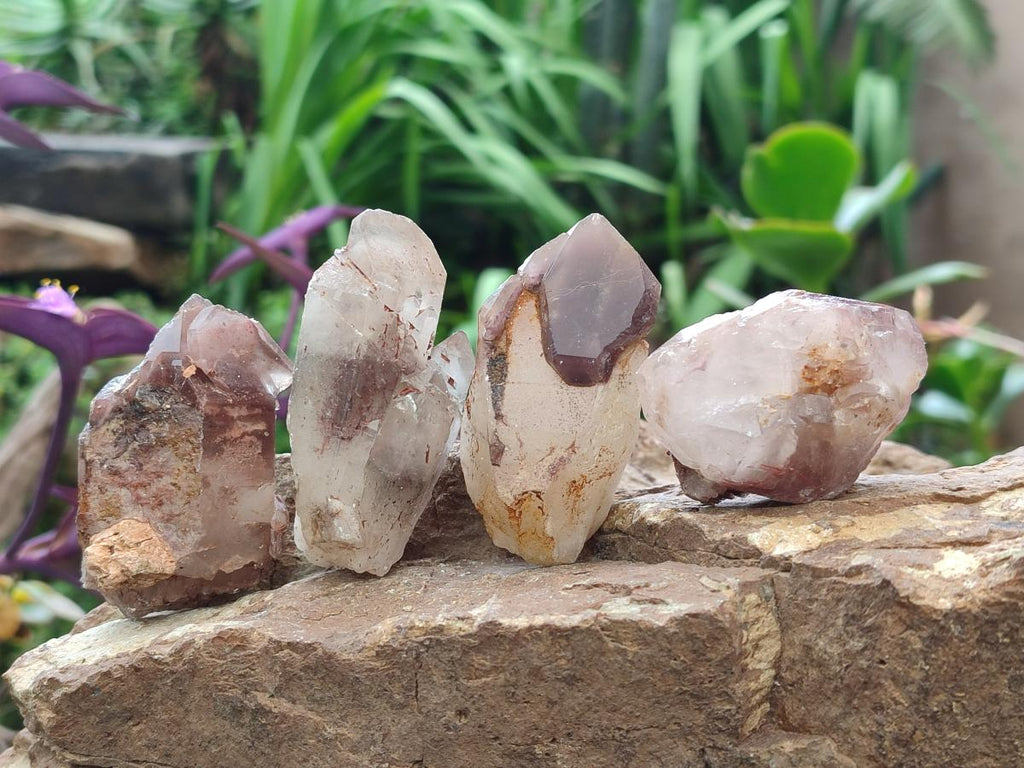 Natural Red Hematoid Quartz Crystals x 24 From Karoi, Zimbabwe - Toprock Gemstones and Minerals 