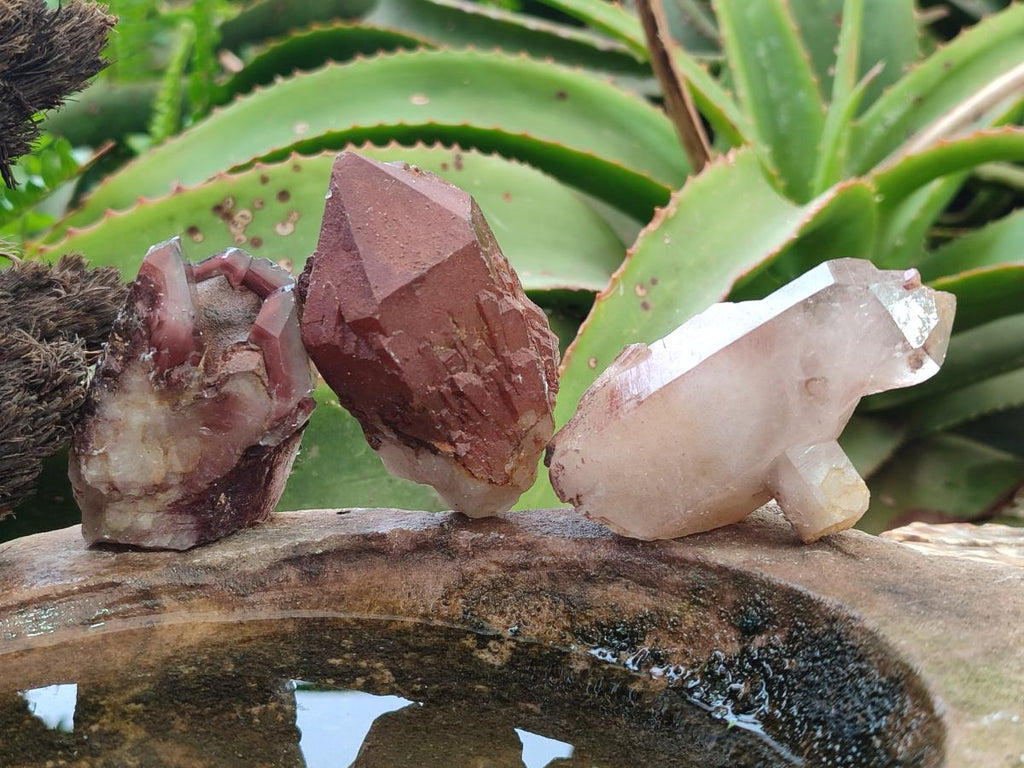 Natural Red Hematoid Quartz Crystals x 24 From Karoi, Zimbabwe - Toprock Gemstones and Minerals 