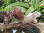 Natural Red Hematoid Quartz Crystals x 24 From Karoi, Zimbabwe - Toprock Gemstones and Minerals 