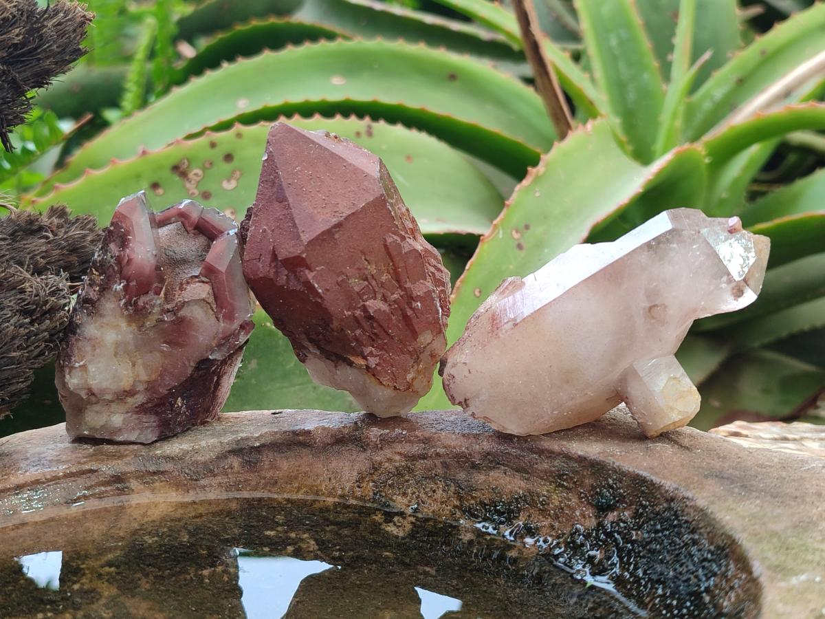 Natural Red Hematoid Quartz Crystals x 24 From Karoi, Zimbabwe - Toprock Gemstones and Minerals 