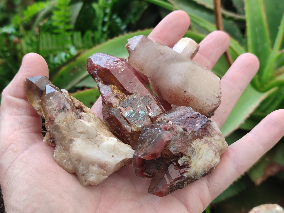 Natural Red Hematoid Quartz Crystals x 24 From Karoi, Zimbabwe - Toprock Gemstones and Minerals 