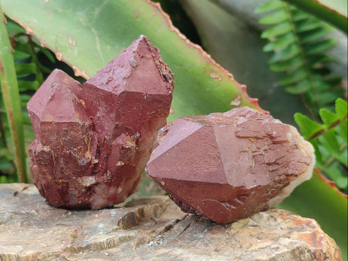 Natural Red Hematoid Quartz Crystals x 24 From Karoi, Zimbabwe - Toprock Gemstones and Minerals 