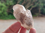 Natural Red Hematoid Quartz Crystals x 24 From Karoi, Zimbabwe - Toprock Gemstones and Minerals 