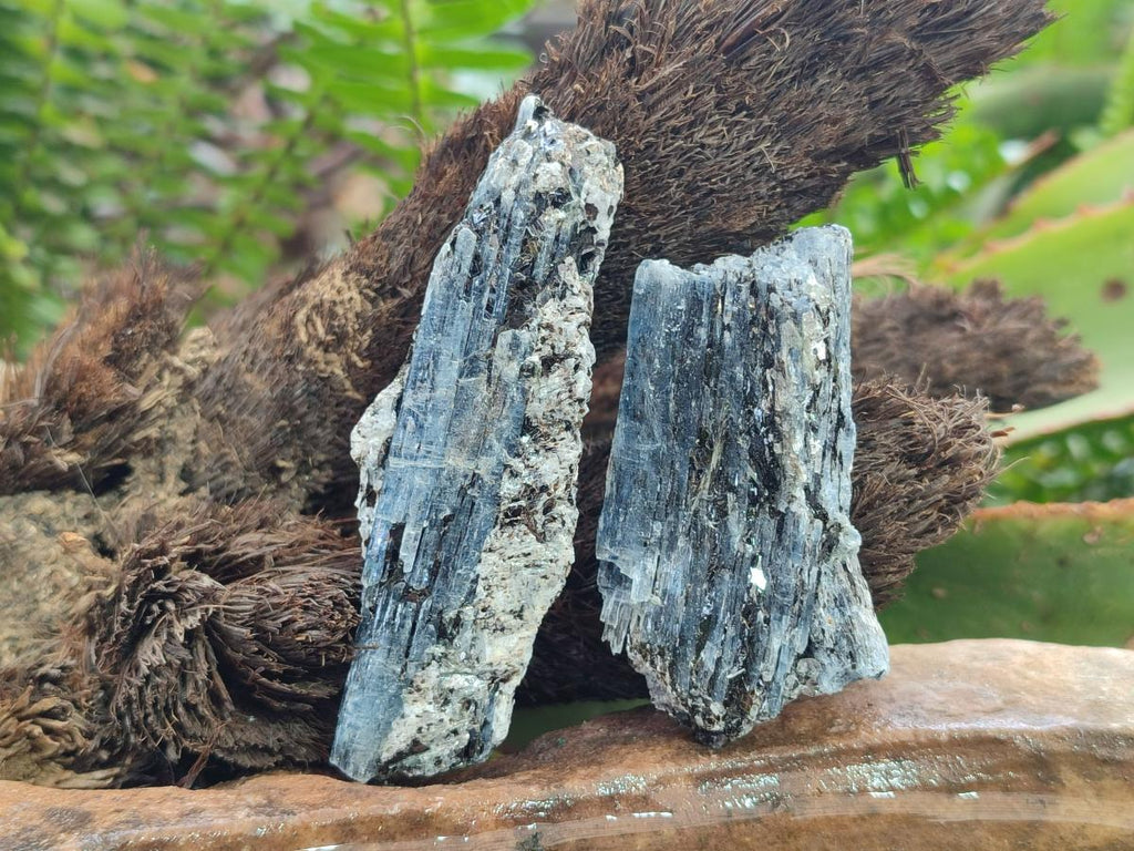 Natural Blue Kyanite Crystals x 35 From Karoi, Zimbabwe - Toprock Gemstones and Minerals 